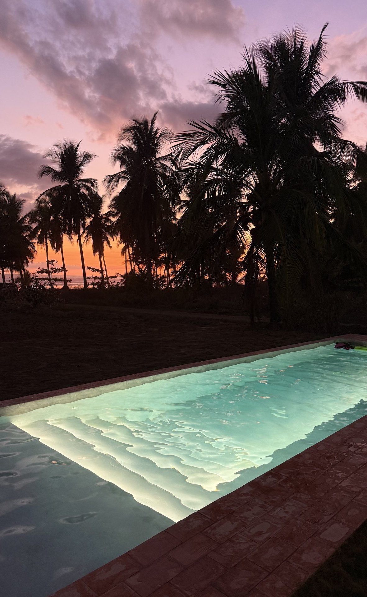 Pool at sunset with palm silhouettes, Mar del Sol Playa Coyote